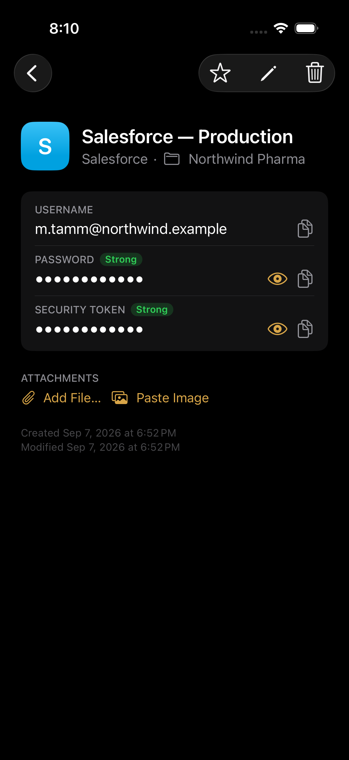 Hoidur on iPhone, showing one entry with its password concealed.